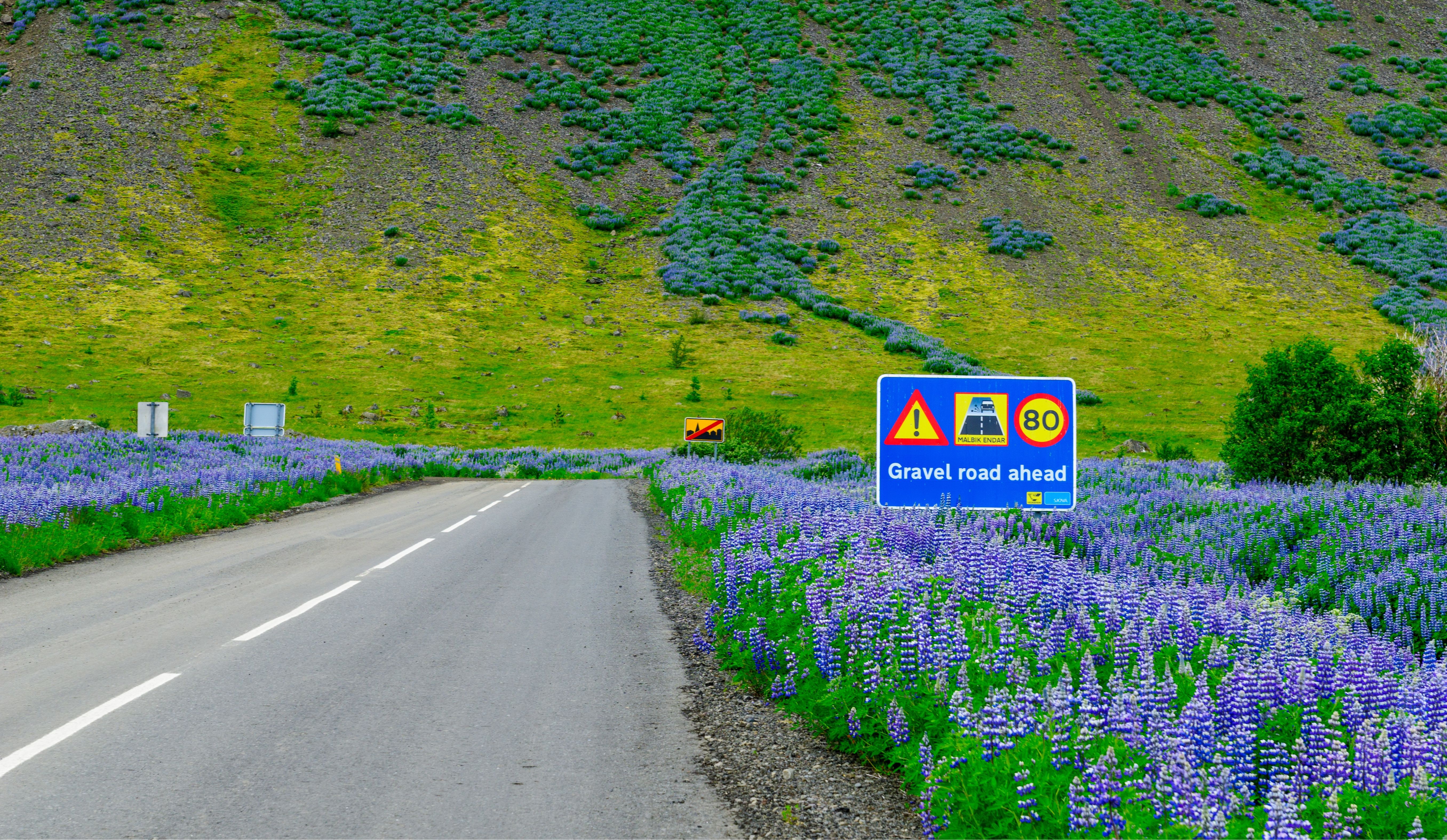 GRAVEL ROAD SIGN ICELAND.jpg