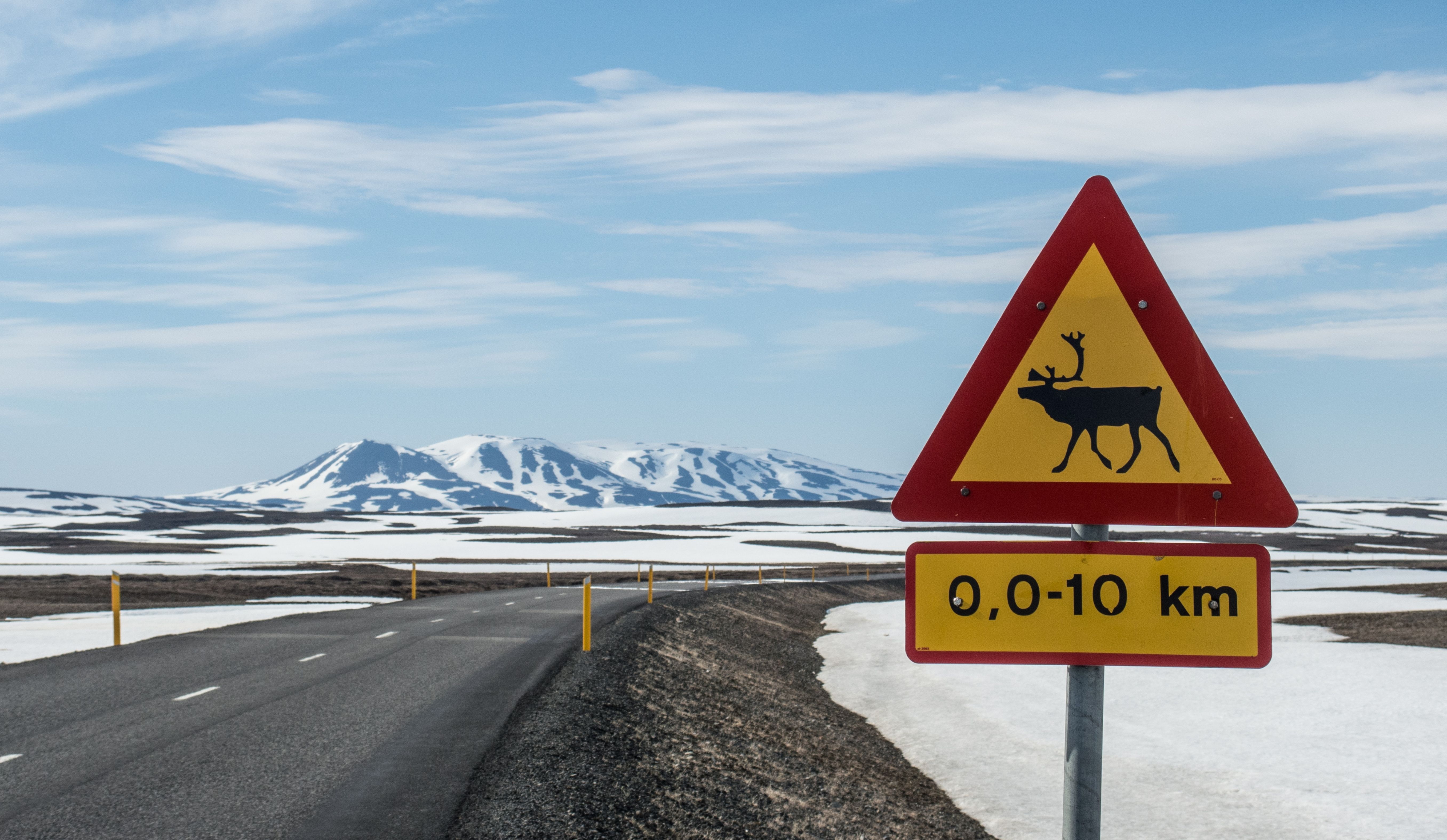animal crossing sign iceland.jpg